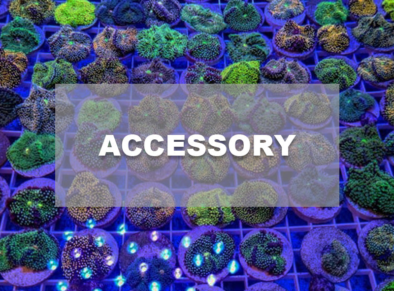 ZOOX AQUARIUM ONLINE STORE @ North America – ZOOX Aquarium