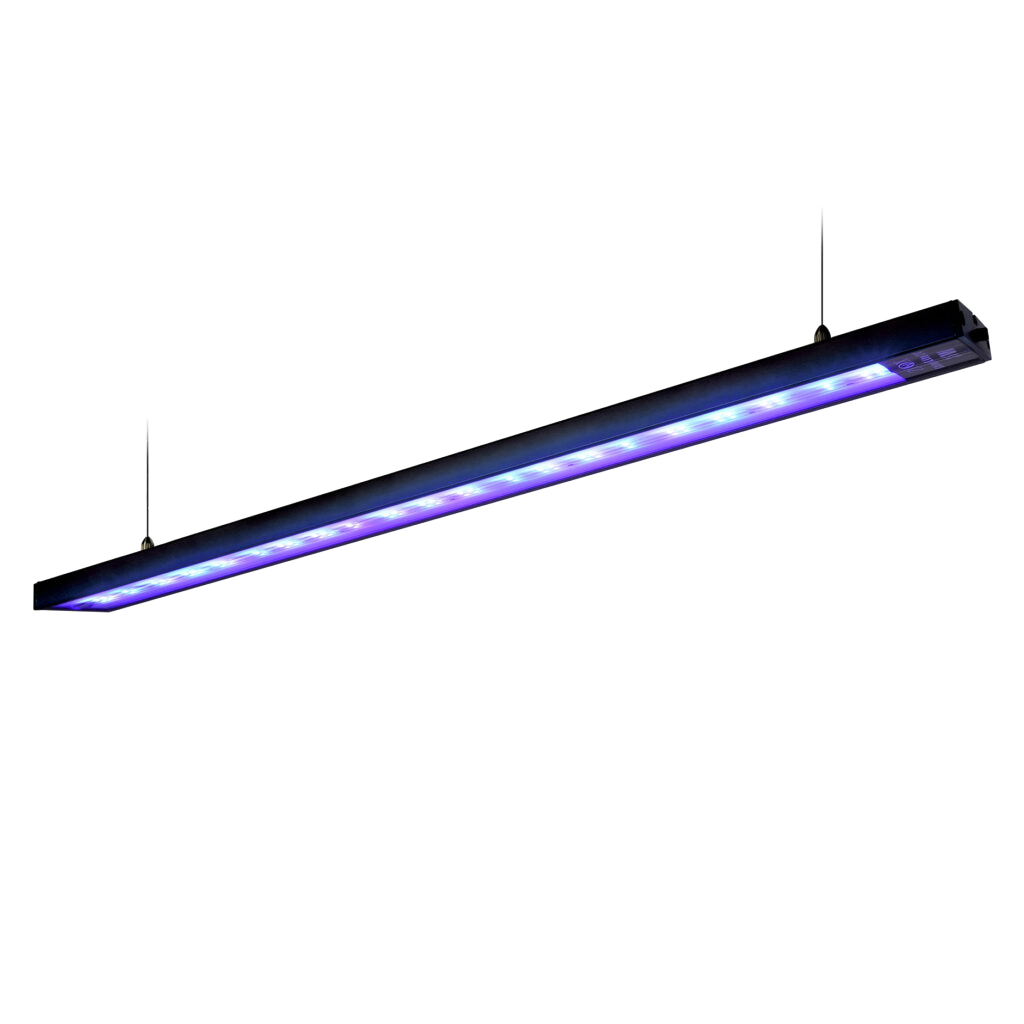 ZOOX Shiner Lite Supplement Lighting Fixture