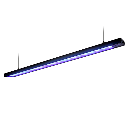 ZOOX Shiner Lite Supplement Lighting Fixture