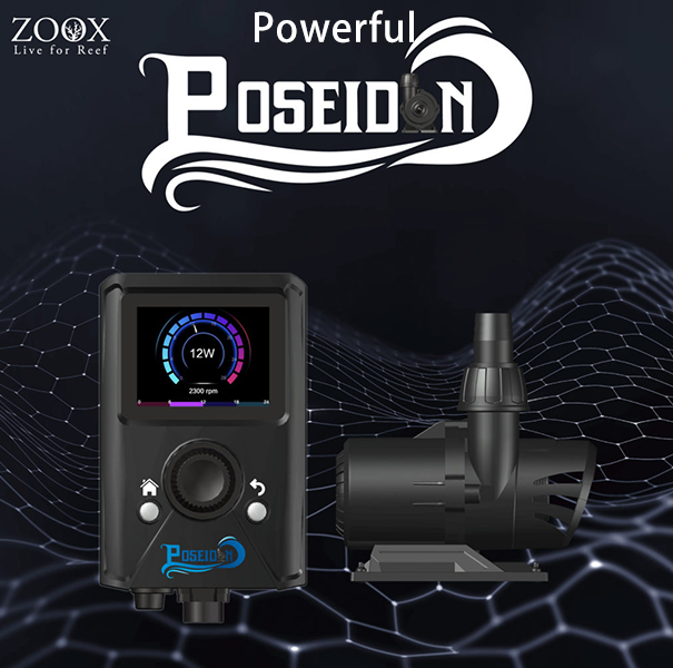 ZOOX Poseidon Advanced Return Pump