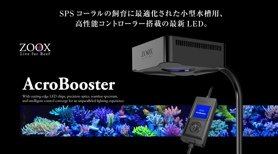 AcroBooster 65W