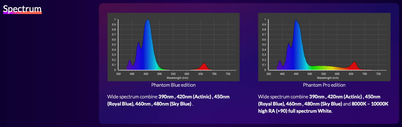 ZOOX Phantom